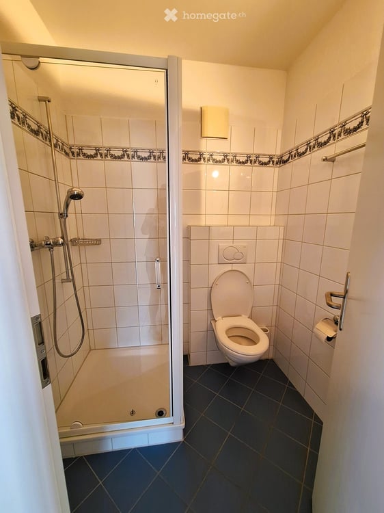 Charmante 3.5-Zimmer-Dachwohnung an ruhiger Lage in Wald ZH 9