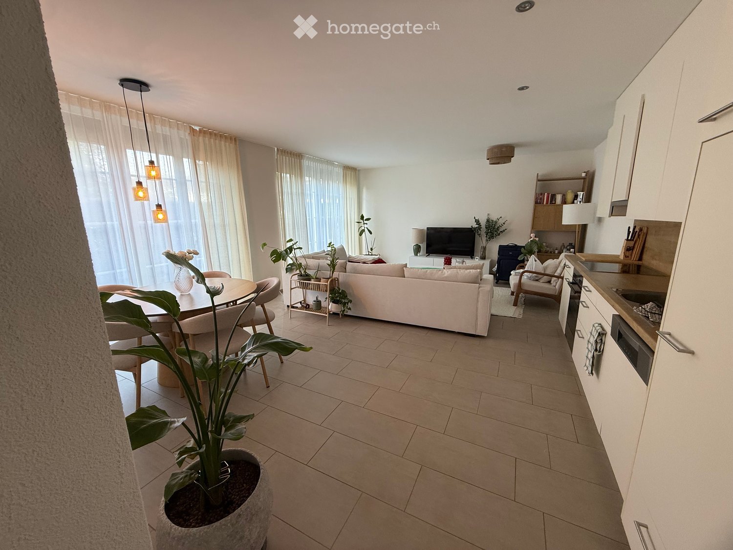 Open-plan living and dining area with a sofa, dining table, chairs, television, kitchen cabinets, and a potted plant.