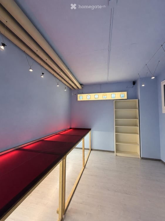 Gepflegter Hobby-/Lagerraum (36 m²) – Zentral in Hombrechtikon 1