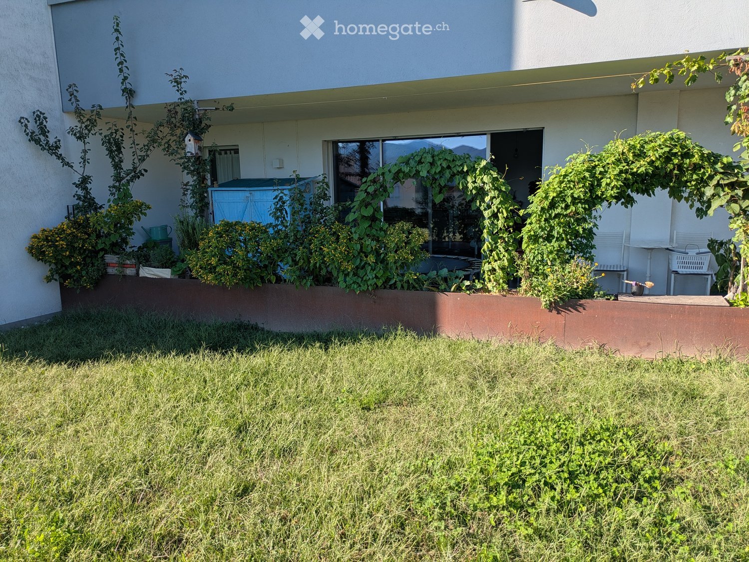 Garden area with a raised planter bed, green grass, and climbing plants on the side of a house.