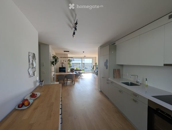 Ruhige, grosszügige 11/2 Zimmerwohung zu vermieten 3