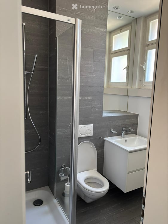 Apartment for rent, nearby Schaffhauserplatz 3