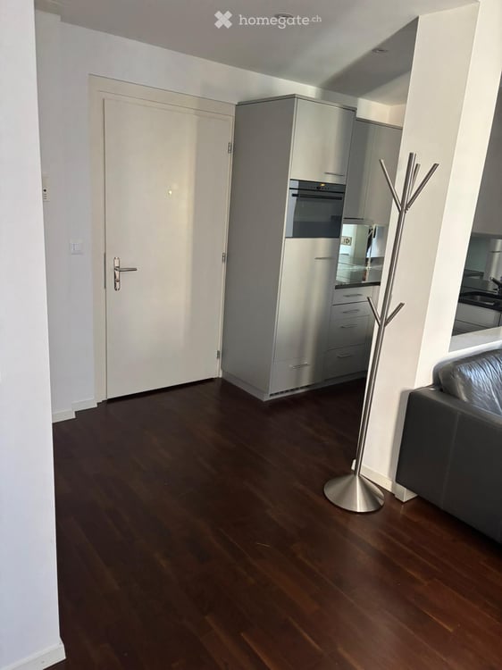 Apartment for rent, nearby Schaffhauserplatz 4