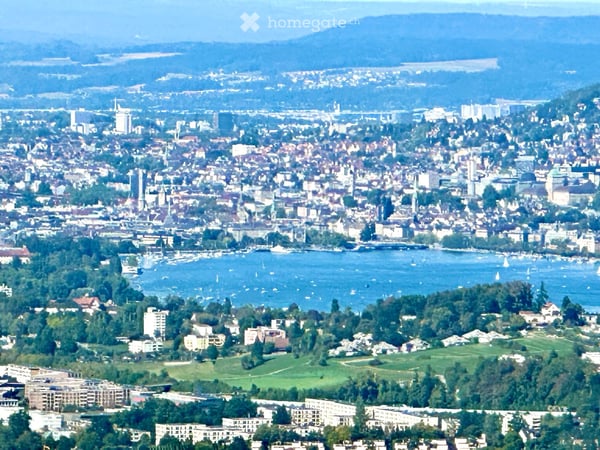 Top of Zürich/ Attika mit Panoramasicht vom Bellevue bis Obersee, Berge / 8 Minuten ab Zürich Brunau