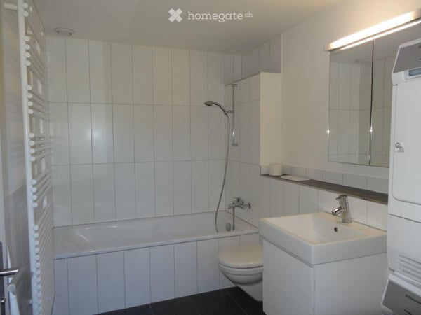 Dachwohnung in Rifferswil 6