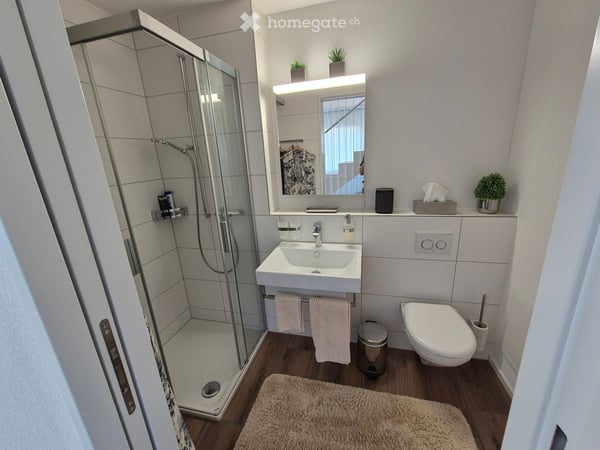 Moderne 4.5-Zimmer-Attikawohnung in Hochdorf – Erstklassiges Wohnen mit Weitblick 6