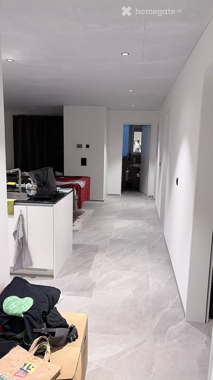 Brand New 4.5-Room Apartment in Rikon im Tössthal – Modern Living with Excellent Connectivity 9