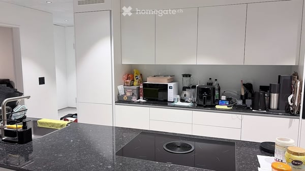 Brand New 4.5-Room Apartment in Rikon im Tössthal – Modern Living with Excellent Connectivity 21