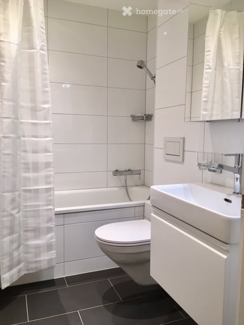 Schöne 3.5 Z. Wohnung zum Park, nähe Rhein / Beautiful 3.5-room apartment to the park, near Rhine 10