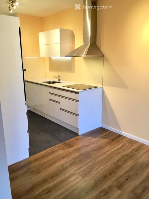 Schöne 3.5 Z. Wohnung zum Park, nähe Rhein / Beautiful 3.5-room apartment to the park, near Rhine 6