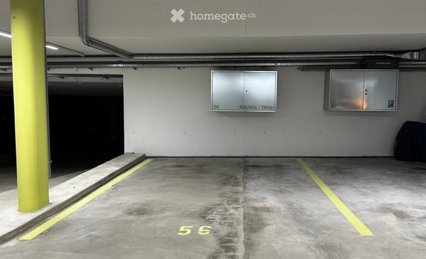 Exklusive lichtdurchflutete 4.5 Zimmer-Wohnung im Grünen und schnelle Verbindung nach Zürich 22