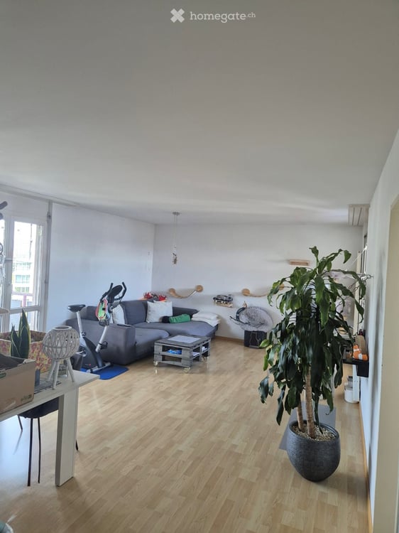 Charmante Altbauwohnung im 6. Stock mit Lift zwei Balkonen und schöner Aussicht 4