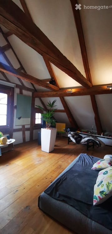 Charmantes 3-Zimmer-Loft in Au SG – Altbau mit Charakter 5