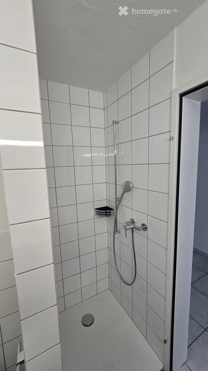 Grosszügige 3.5-Zimmer-Wohnung im 1. Obergeschoss – Ziegelhof 16, 8718 Schänis 4