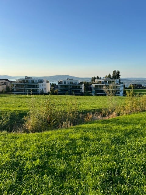 A wide, open green field with several modern apartment buildings in the background, under a clear blue sky.