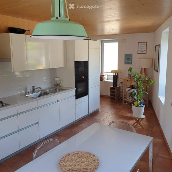 Casa loft accogliente a Barbengo – Piano terreno con mansardato 3
