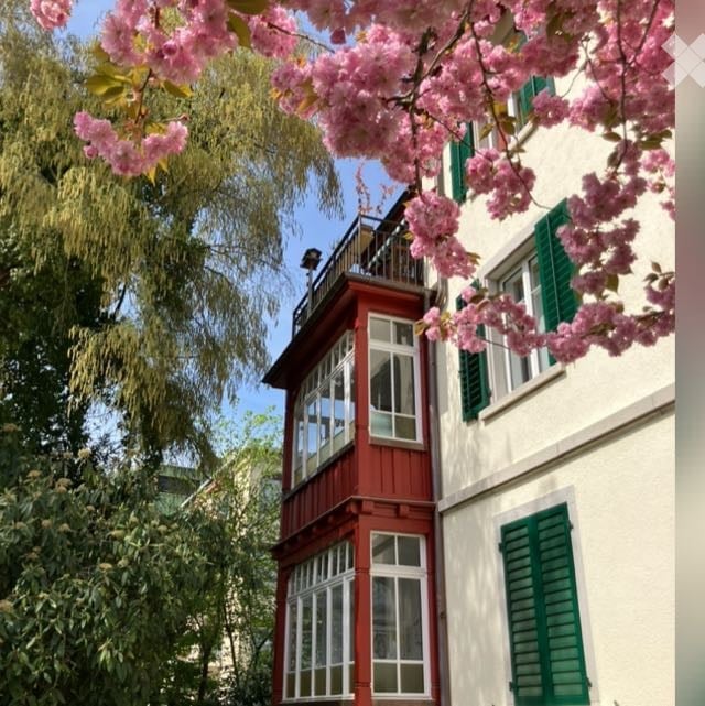 A multi-story building with white walls, green shutters, and a red balcony section. Pink flowering trees frame the view.
