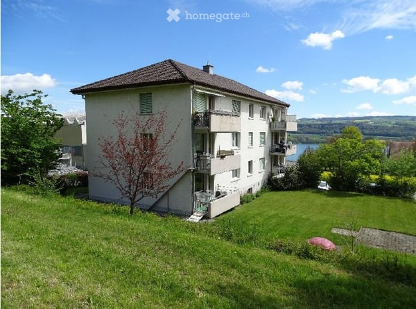 Wohnung in Beinwil am See 1