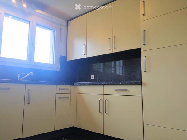 Wohnung in Beinwil am See 5