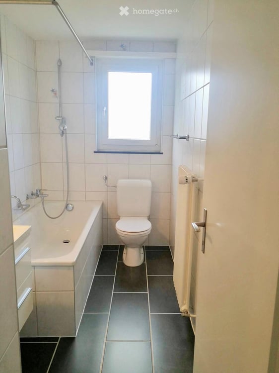 Wohnung in Beinwil am See 3