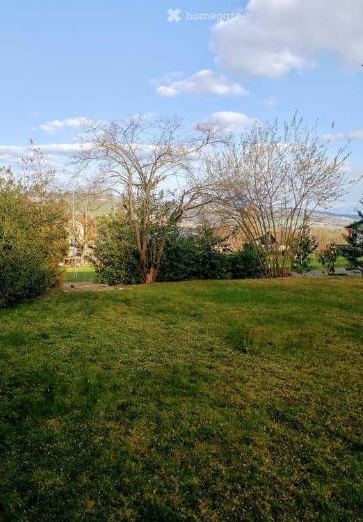 Wohnung in Beinwil am See 11