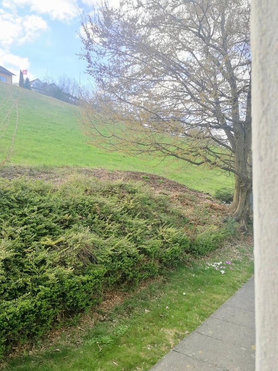 Wohnung in Beinwil am See 9