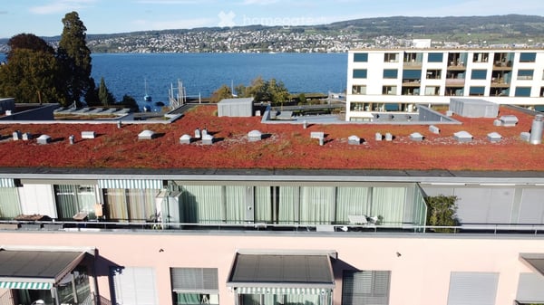 Bright 3.5-Room Furnished Apartment with Lake Views in Horgen – Seestrasse 124A 50