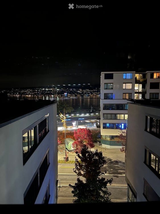Bright 3.5-Room Furnished Apartment with Lake Views in Horgen – Seestrasse 124A 54