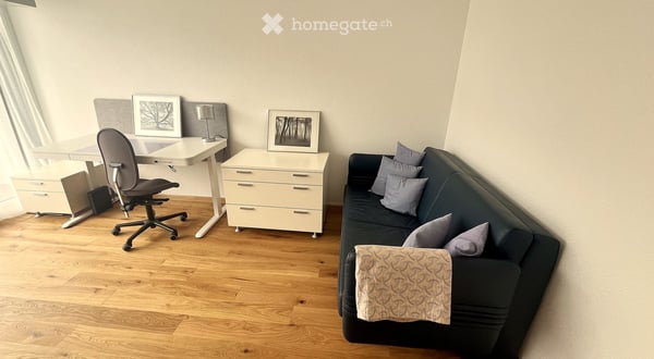 Bright 3.5-Room Furnished Apartment with Lake Views in Horgen – Seestrasse 124A 38