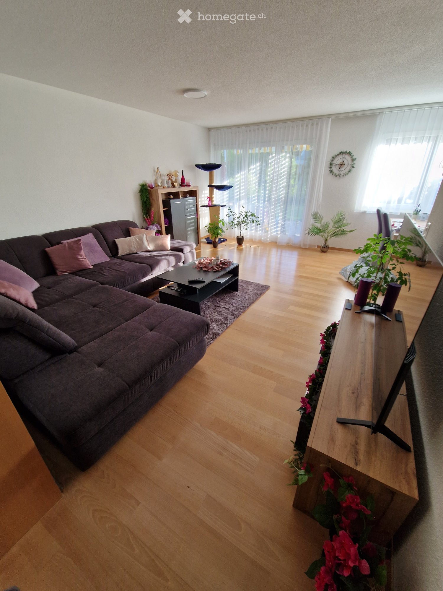 Modern living room with wooden flooring, large window with white curtains, grey sectional sofa, coffee table, cat tree, shelf, and decorative plants.