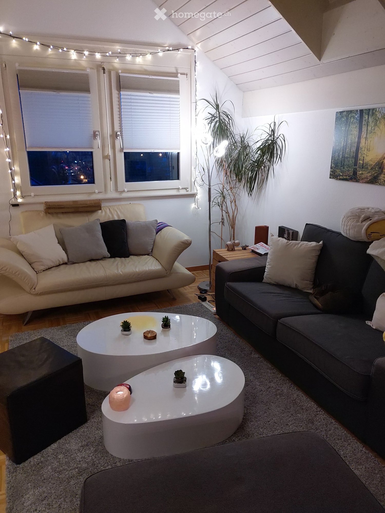 Modern living room with two sofas, two round coffee tables, a floor lamp, and decorative plants.