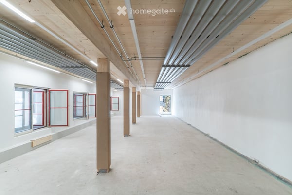 Gewerberaum T/EG/04 (und weitere Gewerberäume in ehemaliger Spinnerei, zwischen 24-229m2) 10