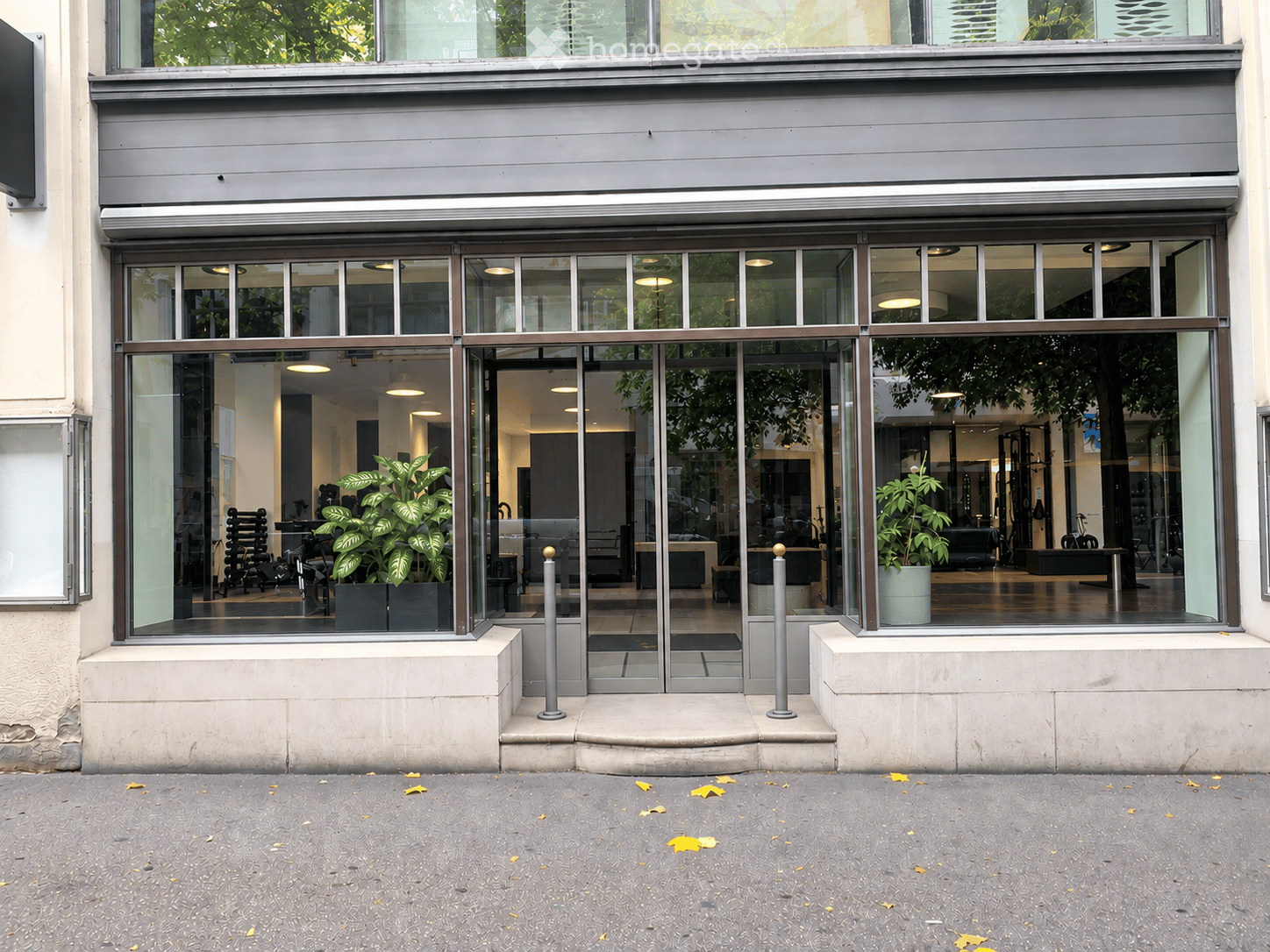 Modern storefront with large glass windows and doors, reflecting interior greenery and furniture, with a clean urban sidewalk.