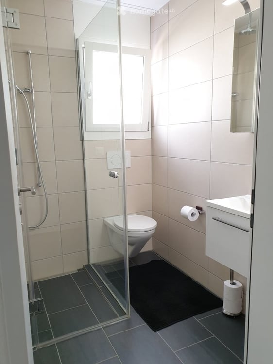 Modernes 6.5-Zimmer-Einfamilienhaus in Emmenbrücke – mit Garten und Balkon 8