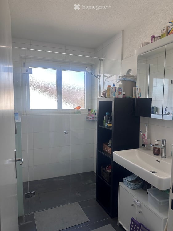 4.5-Zimmer-Wohnung mit Weitsicht und grosser Terrasse in Adliswil 8