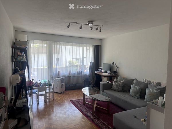 4.5-Zimmer-Wohnung mit Weitsicht und grosser Terrasse in Adliswil 3