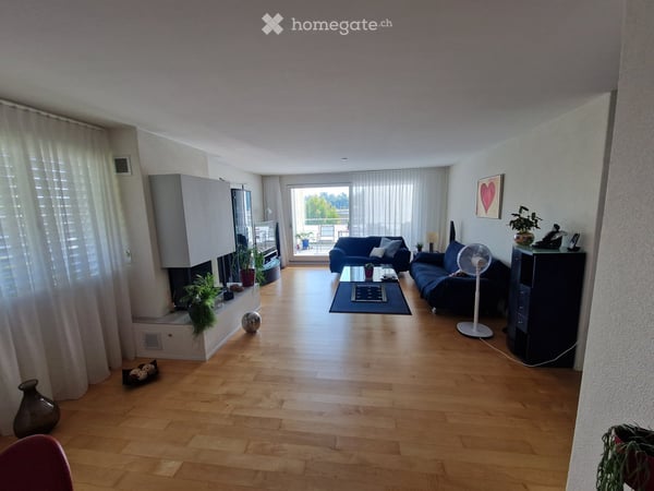 Helle 2.5-Zimmer-Wohnung mit Balkon und Bergsicht in Hausen am Albis 2