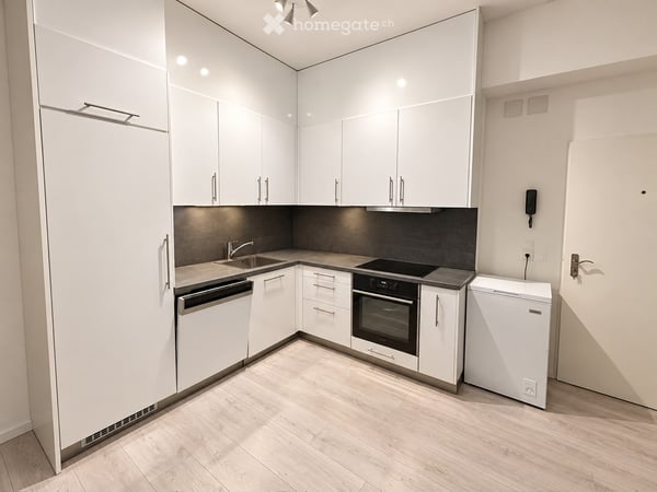 Charmante 1-Zimmer-Wohnung im Erdgeschoss an der Müllheimerstrasse, Basel 3