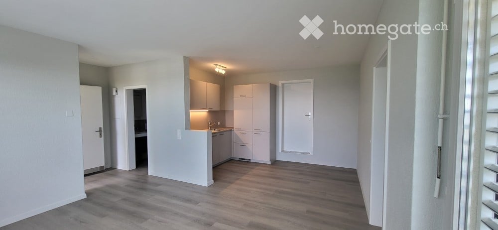 Open plan kitchen, hardwood floors, built-in cabinets, white walls, ceiling lamp, doors, kitchen with sink, faucet and cabinets
