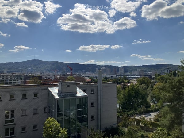 Möblierte 1-Zimmer-Wohnung mit Balkon und schöner Aussicht in Zürich-Höngg  – befristet für 6 Monate 3