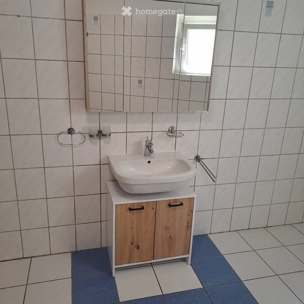 Ampio appartamento 2.5 locali con terrazzino e vista 4