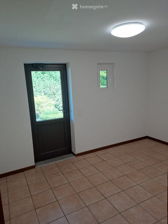 Ampio appartamento 2.5 locali con terrazzino e vista 5