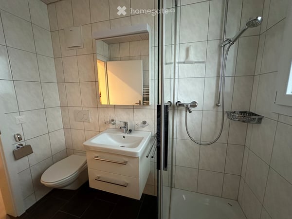 Attraktive 4.5-Zimmer-Dachwohnung in St. Gallen 6