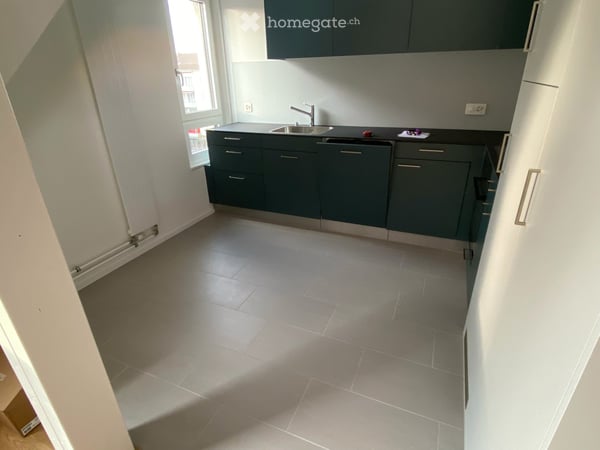 Charming 1.5-Room Apartment with Terrace in Zürich-Altstetten 2