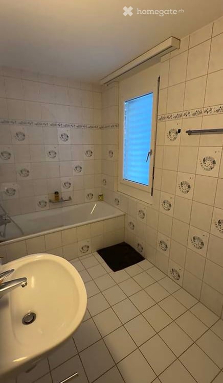 Möbliertes 1-Zimmer-Apartment mit Seeblick in Gersau – ab sofort verfügbar 4