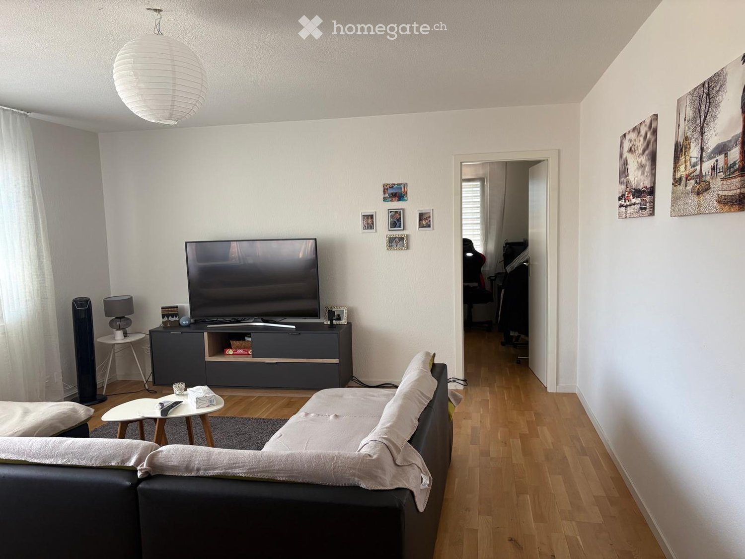 Modern living room with a grey sofa, coffee table, TV, and decorative items on a wooden floor.