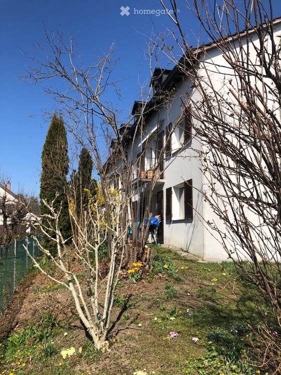 Helle 3-Zimmerwohnung in Oberwinterthur