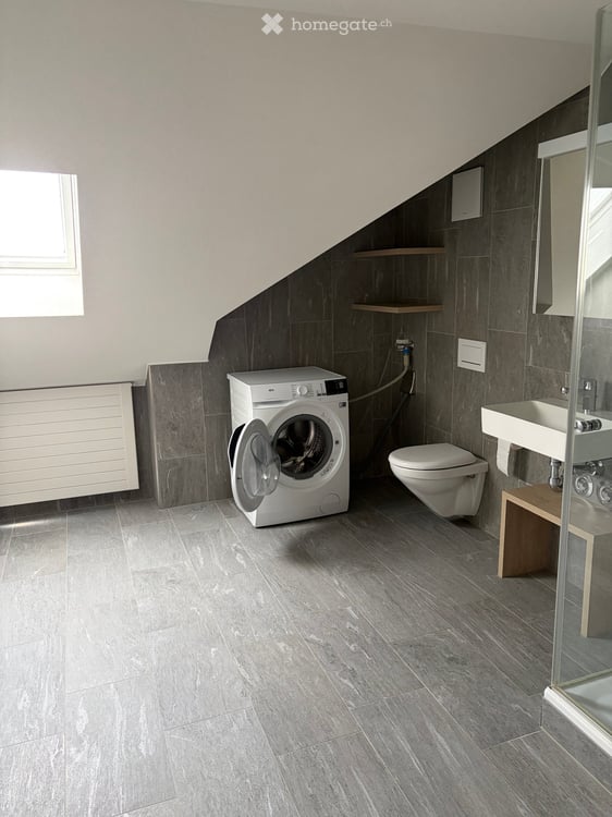 Dachgeschosswohnung in Zürich 10