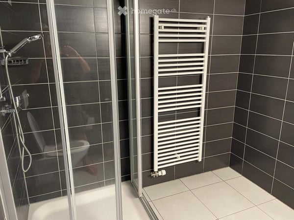 Charmant appartement de 2.5 pièces à La Neuveville 7