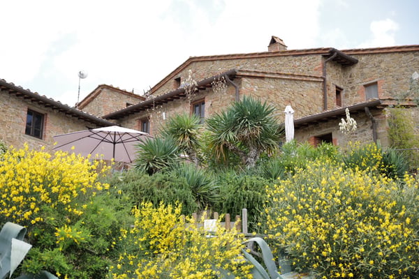 Historischer Borgo in der Toskana in spektakulärer Aussichtslage mit Bio-Olivenhain und Pool 6